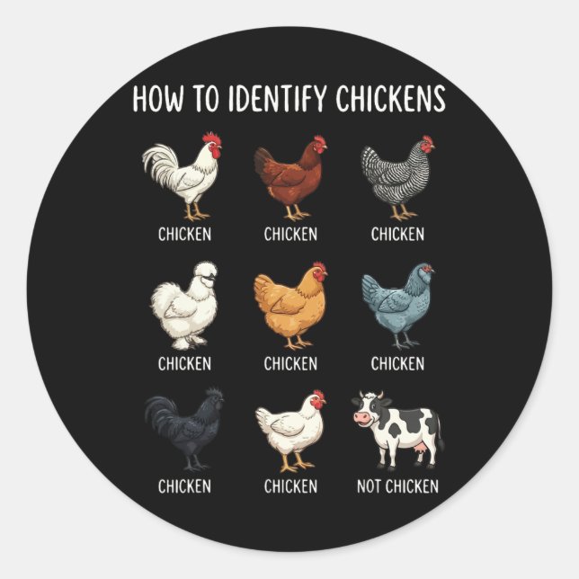 Pegatina Redonda Cómo identificar pollos  (Anverso)