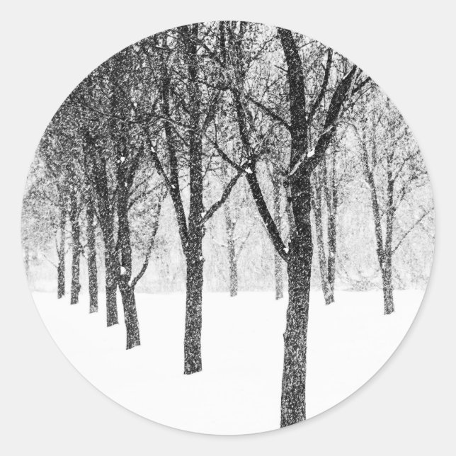Pegatina Redonda como si estuviera del lado de los árboles (Anverso)
