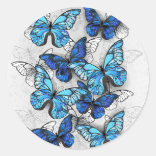 Pegatina Redonda Composición de las mariposas blancas y azules