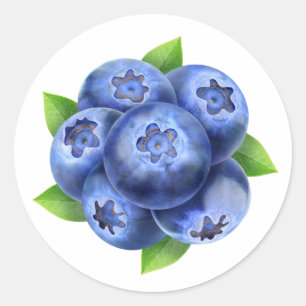 Pegatina Redonda Composición redonda de Blueberries