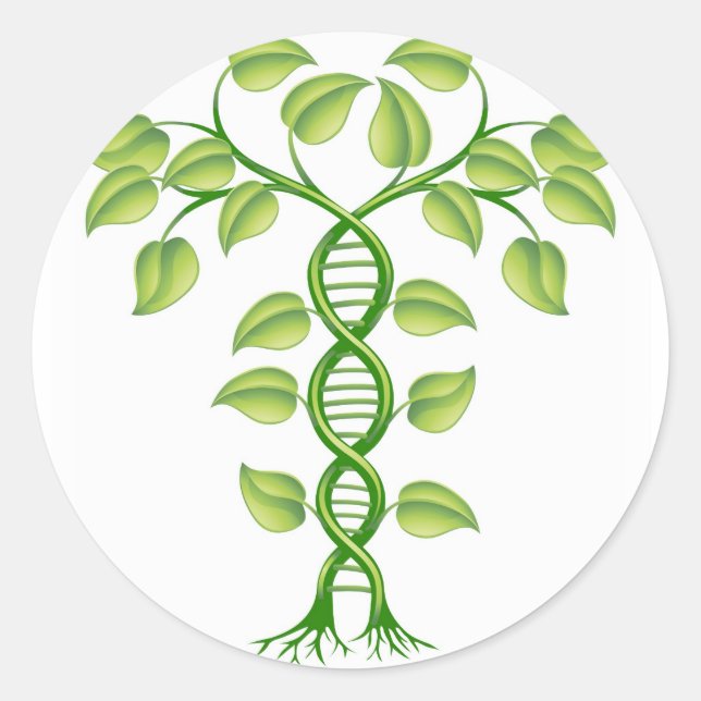 Pegatina Redonda concepto de planta de ADN (Anverso)