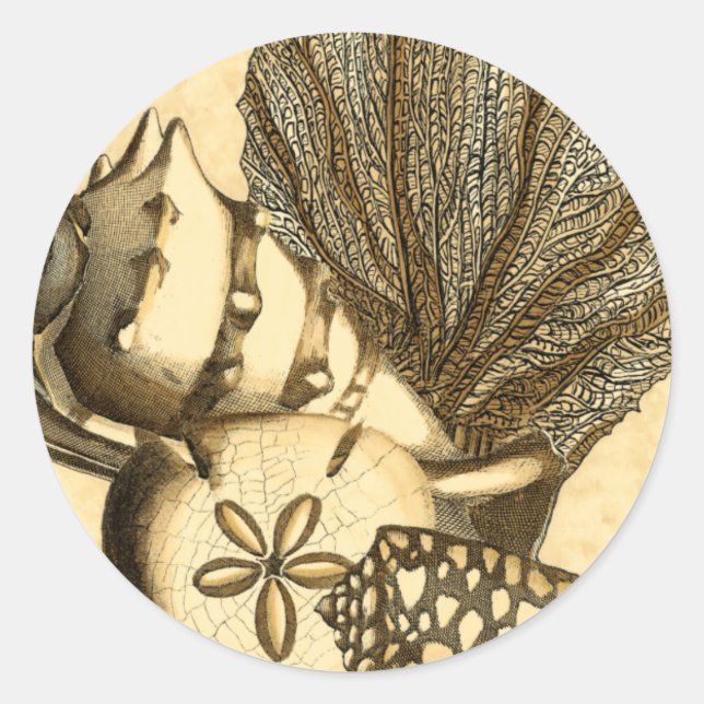 Pegatina Redonda Conchas neutrales y recolección de corales (Anverso)