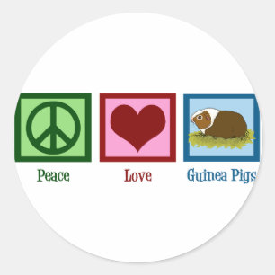 Pegatina Redonda Conejillo de Indias lindo