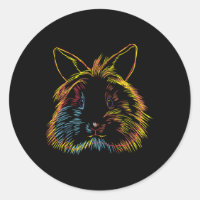 Conejo de Lionhead Bunny colorido