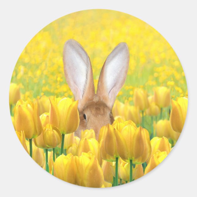 Pegatina Redonda Conejo de Pascua (Anverso)