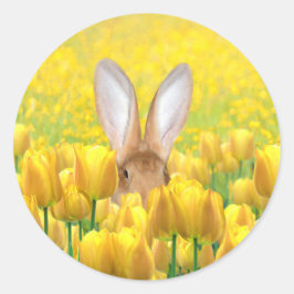 Pegatina Redonda Conejo de Pascua