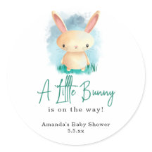 Conejo Pequeño - baby shower