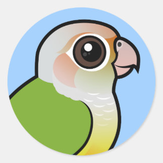 Pegatina Redonda Conure de cinnamon de tono verde pálido