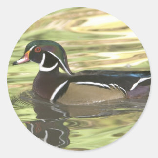 Pegatina Redonda Copia de DSC_0454