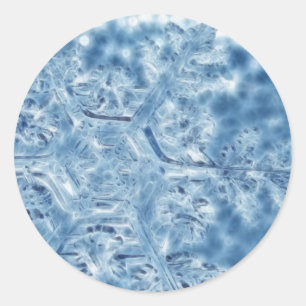 Pegatina Redonda Copo de nieve Fractal de hielo congelado
