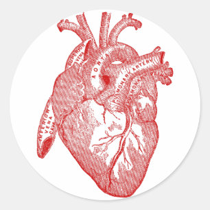 Pegatina Redonda Corazón Anatómico de la Antigüedad Roja