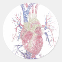 Corazón (Biro)