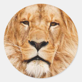 Pegatina Redonda Corazón del león