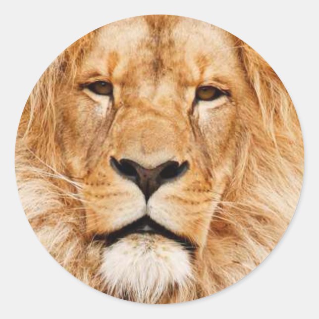 Pegatina Redonda Corazón del león (Anverso)