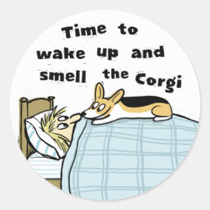 Pegatina Redonda Corgi - Despertar y Oler el Corgi