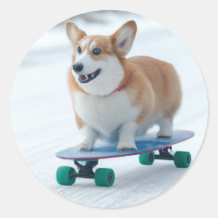 Pegatina Redonda Corgi divertido patinaje
