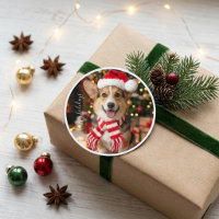 Corgi Sonriente Lindo Perro de Navidad
