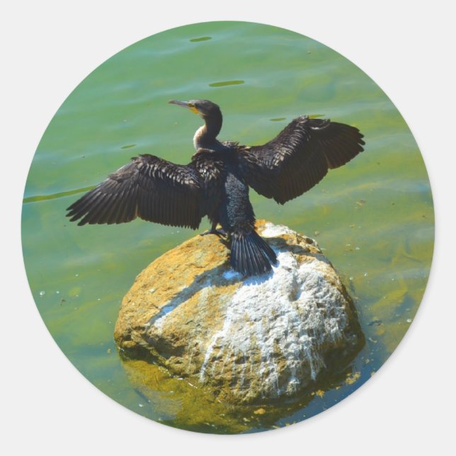 Pegatina Redonda Cormorant (Anverso)