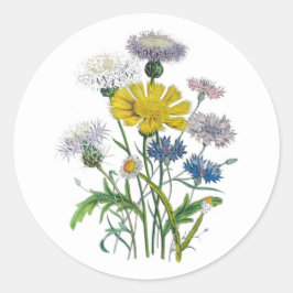 Pegatina Redonda Cornflowers