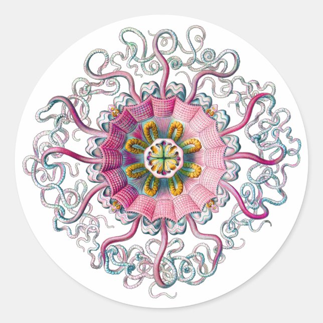 Pegatina Redonda Corona o Helmet Jellyfish (Anverso)