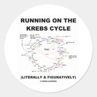 Pegatina Redonda Corriendo En El Ciclo Krebs (Humor De Ciencia)