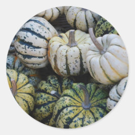 Pegatina Redonda Cosecha de Calabazas de Otoño