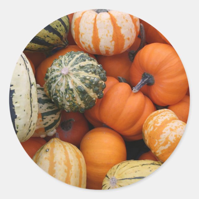 Pegatina Redonda Cosecha de cenizas de otoño