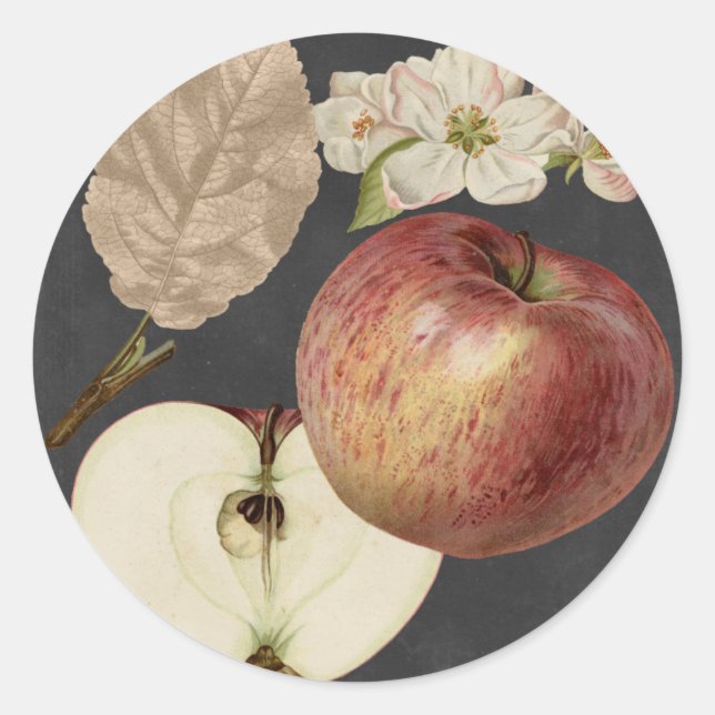 Pegatina Redonda Cosecha de medianoche II (Anverso)