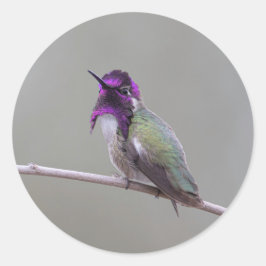 Pegatina Redonda Costura costarricense