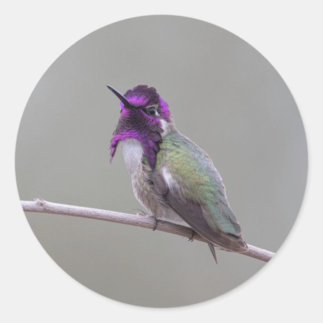 Pegatina Redonda Costura costarricense (Anverso)