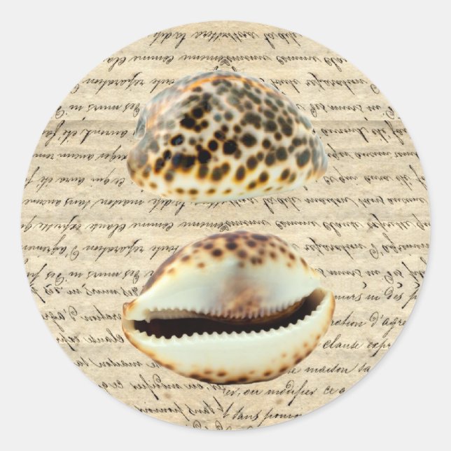 Pegatina Redonda Cowrie (Anverso)