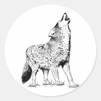 Pegatina Redonda Coyote