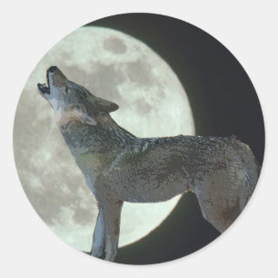Pegatina Redonda Coyote Howling en la Luna