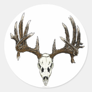 Pegatina Redonda Cráneo del dólar del Whitetail