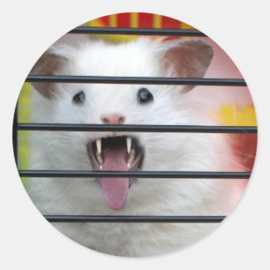 Pegatina Redonda Cranky Critter