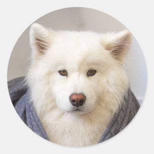 Pegatina Redonda CRB - Oso acogedor