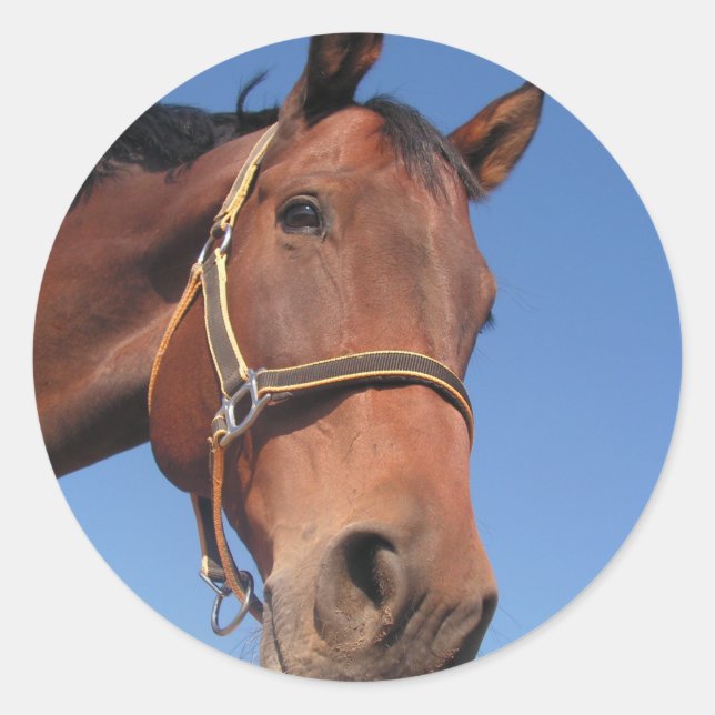 Pegatina Redonda Crea tu propio regalo de fotos Personalizado (Anverso)