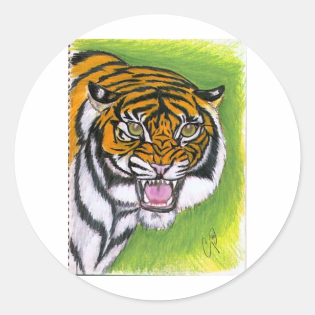 Pegatina Redonda Crecimiento de tigres (Anverso)