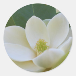 Pegatina Redonda Cricket Diane Southern Magnolias