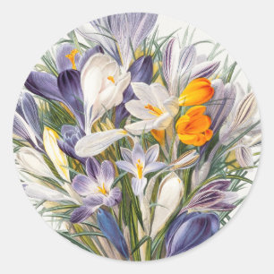 Pegatina Redonda Crocus Spring Flower Floral Art