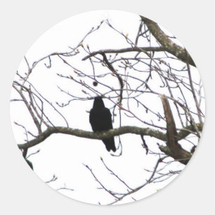 Pegatina Redonda Crow