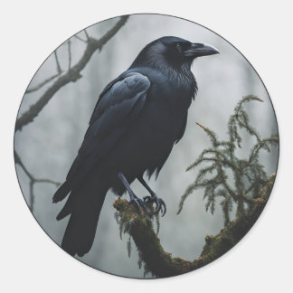 Pegatina Redonda Crow en un árbol