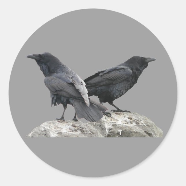 Pegatina Redonda Crow Raven (Anverso)