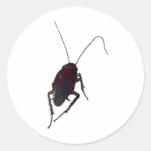 Pegatina Redonda Crunchy Cockroach (Anverso)