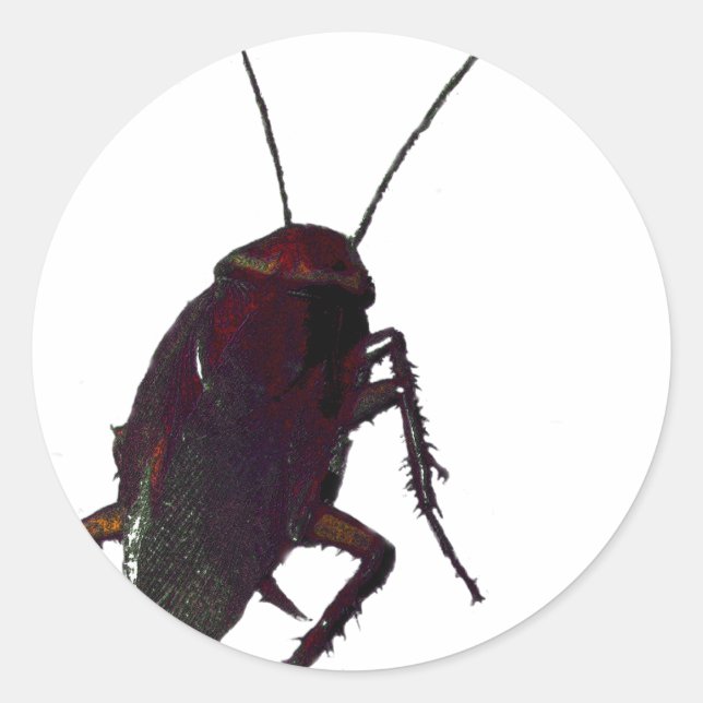 Pegatina Redonda Crunchy Cockroach (Anverso)