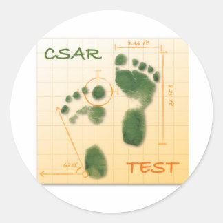 PEGATINA REDONDA CTF FTE