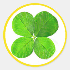 Pegatina Redonda Cuatro Atrapos De Hojas El MUSEO Zazzle Regalos