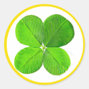 Pegatina Redonda Cuatro Atrapos De Hojas El MUSEO Zazzle Regalos