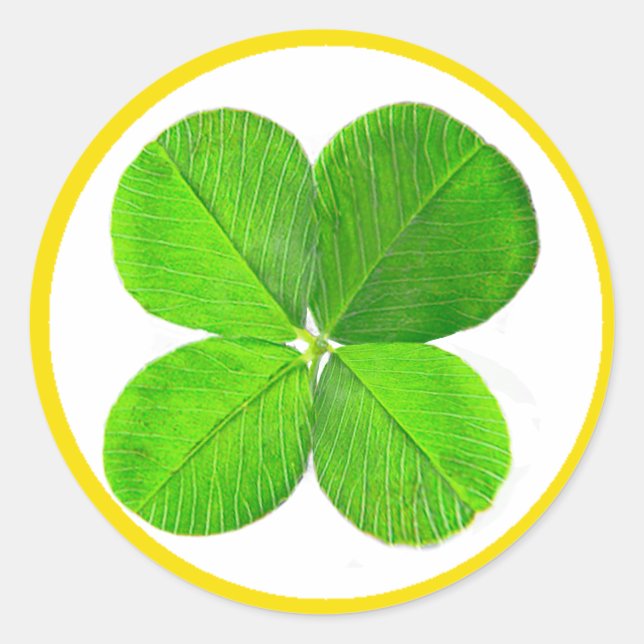 Pegatina Redonda Cuatro Atrapos De Hojas El MUSEO Zazzle Regalos (Anverso)