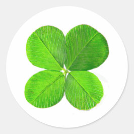 Pegatina Redonda Cuatro Atrapos De Hojas El MUSEO Zazzle Regalos